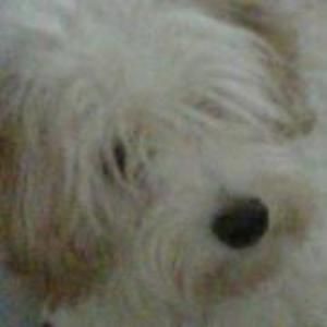 Meet your Posher, Keegan